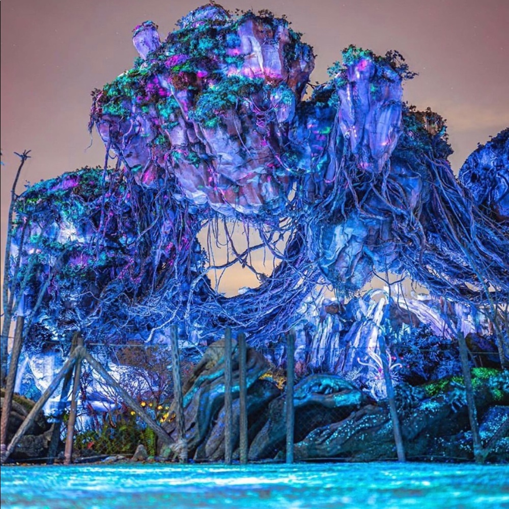 Meet your Posher, Mandi K!